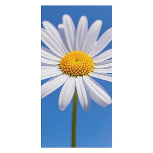 FHESDCW Spring Daisy extra großes Strandtuch für Erwachsene, ultraweiche Mikrofaser-Strandtücher, sandfrei, schnell trocknend, Badetuch für Strand, Pool, Yoga, Reisen, 80 x 160 cm FHESDCW Spring Daisy extra großes Strandtuch für Erwachsene, ultraweiche Mikrofaser-Strandtücher, sandfrei, schnell trocknend, Badetuch für Strand, Pool, Yoga, Reisen, 80 x 160 cm von FHESDCW