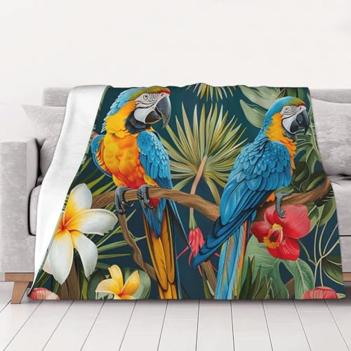 FHESDMN Bedruckte Flanell-Fleecedecke mit tropischen Pflanzen und Papageien, Couchdecke, Sofa-Settees, flauschige, dicke Decken sind für alle Jahreszeiten geeignet, 80 x 60 cm FHESDMN Bedruckte Flanell-Fleecedecke mit tropischen Pflanzen und Papageien, Couchdecke, Sofa-Settees, flauschige, dicke Decken sind für alle Jahreszeiten geeignet, 80 x 60 cm von FHESDMN