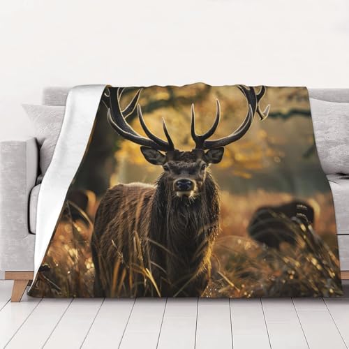 FHESDMN Flanell-Fleecedecke mit Geweih und rotem Hirsch, bedruckt, Couchdecke, Sofa-Settees, flauschige, dicke Decken sind für alle Jahreszeiten geeignet, 50 x 40 cm FHESDMN Flanell-Fleecedecke mit Geweih und rotem Hirsch, bedruckt, Couchdecke, Sofa-Settees, flauschige, dicke Decken sind für alle Jahreszeiten geeignet, 50 x 40 cm von FHESDMN