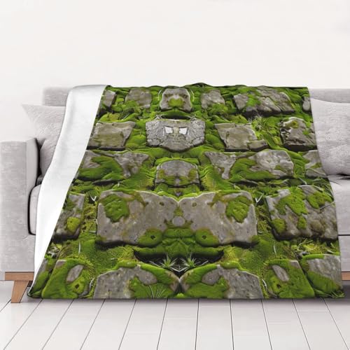 FHESDMN Flanell-Fleecedecke mit Moossteinpflaster, bedruckt, Couchdecke, Sofa-Settees, flauschige, dicke Decken sind für alle Jahreszeiten geeignet, 40 x 30 cm FHESDMN Flanell-Fleecedecke mit Moossteinpflaster, bedruckt, Couchdecke, Sofa-Settees, flauschige, dicke Decken sind für alle Jahreszeiten geeignet, 40 x 30 cm von FHESDMN