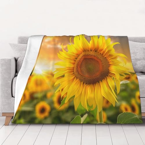 FHESDMN Flanell-Fleecedecke mit Sonnenblumen-Druck, Couchdecke, Sofaset, flauschige, dicke Decken sind für alle Jahreszeiten geeignet, 40 x 30 cm FHESDMN Flanell-Fleecedecke mit Sonnenblumen-Druck, Couchdecke, Sofaset, flauschige, dicke Decken sind für alle Jahreszeiten geeignet, 40 x 30 cm von FHESDMN