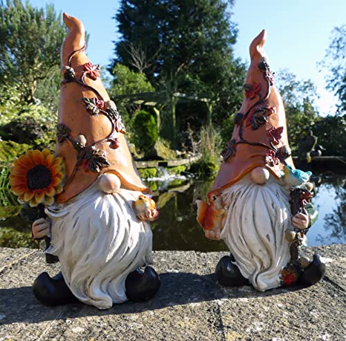 Harvey and Harry Garden Gonks Gartenzwerge, 25 cm von FHFY Garden