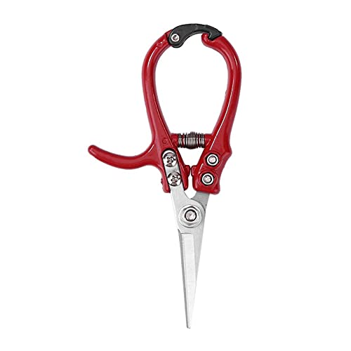 Rote Multifunktionsgartenarbeit Spedition Scheren Rutschfeste Griff Zweig Pruner Trimmer Werkzeuge Hand Gartenarbeit Pflanzschere von FHYTGBS