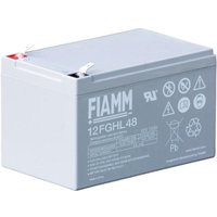 Fiamm - Batterie 12V 12AH für ups 12FGHL48 Fiamm - Batterie 12V 12AH für ups 12FGHL48 von FIAMM