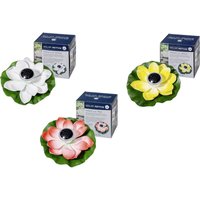 FIAP 3206-5 SOLAR ACTIVE WaterLily 3er SET Solar-Dekoleuchte 3er Set LED LED fest eingebaut Weiß, FIAP 3206-5 SOLAR ACTIVE WaterLily 3er SET Solar-Dekoleuchte 3er Set LED LED fest eingebaut Weiß, von FIAP