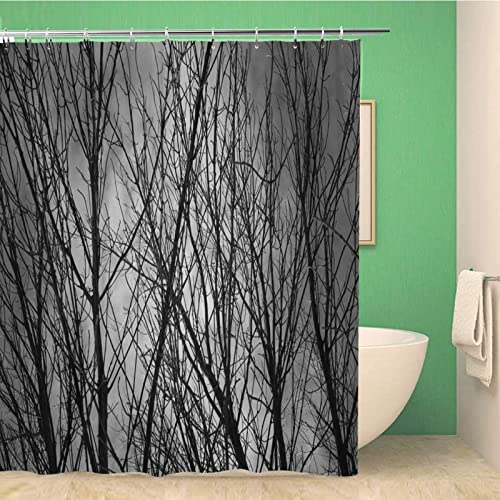 FIBITA Duschvorhang 180x200 Zweig Shower Curtains Anlage Badezimmer Vorhang Zweig Duschvorhang Antischimmel Wasserdicht 3D Duschvorhänge Badewannen Waschbar von FIBITA