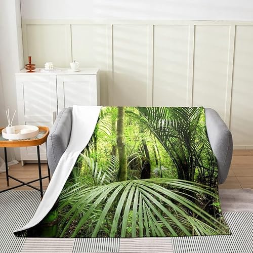 FIBITA Kuscheldecke 3D Tropischer Dschungel Flanell Fleecedecke 200x200 Pflanze Wohndecke Grün Sofadecke Couchdecke Tagesdecke Flauschig Weiche Mikrofaser, für Bett & Sofa von FIBITA