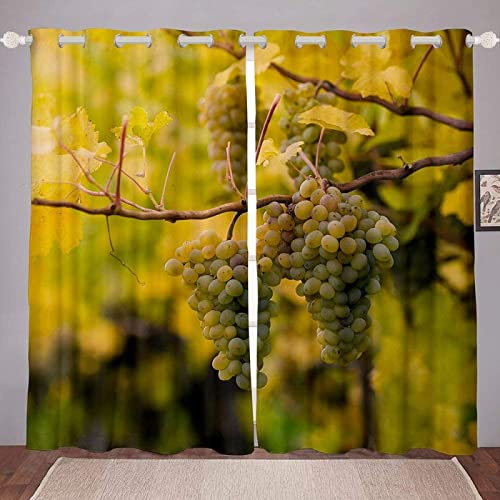 FIBITA Vorhang Blickdicht Weintraube Vorhänge Früchte Gardinen Wohnzimmer Schlafzimmer Weintraube Verdunklungsvorhänge 3D Druck Vorhang 75x166 cm Ösenvorhang 2er Set von FIBITA