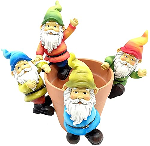 FICITI Gartenzwerg Blumentopf und Vase Sitzstangen, Hänger Set mit 4 Stück FICITI Gartenzwerg Blumentopf und Vase Sitzstangen, Hänger Set mit 4 Stück von FICITI