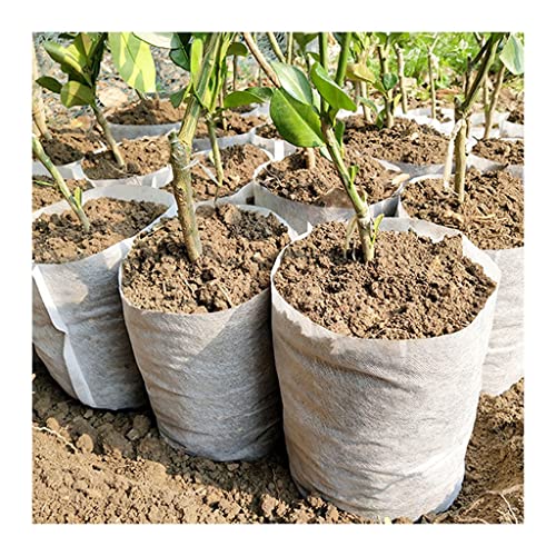 FIDALIKA Biologisch Abbaubare Vliesstoff-Kindergarten-Pflanze Köstliche Taschen, for Sämling Wachsender Pflanzer Pflanzentöpfe Garten Umweltfreundliche Belüftungstasche (Size : 20x22cm (50pcs)) von FIDALIKA