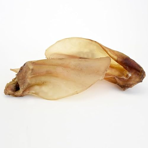 Fidelis - Rinderohren mit Muschel getrocknet für Hunde 10 STK. - Natursnack Leckerlis aus 100% nat. Rohstoffen - Hunde Leckerli als Snack pflegt & stärkt das Gebiss - Ohne Konservierungsstoffe von Fidelis