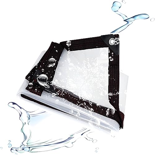 FIDSEJEONA Wasserdicht Transparent Plane 1x3m, Transparent Plane mit Ösen, Transparente Plane Wasserdicht, für den Außenbereich Einsetzbar Regendicht, Pflanzenisolierung, Möbel Staubdicht von FIDSEJEONA
