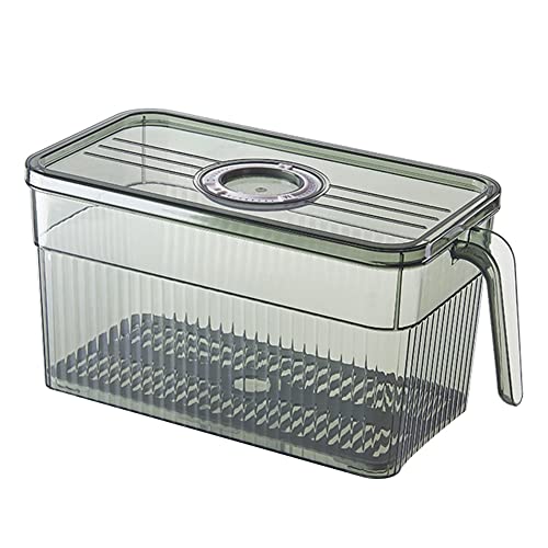 FIGGRITID Kühlschrank-Aufbewahrungsbox mit Griff, transparentes Material, Grün von FIGGRITID