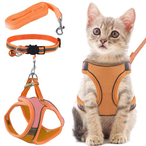 FIHODONE Katzengeschirr mit Katzenleine Katzenhalsband,Katzengeschirr mit Leine Ausbruchsicher,Cat Harness Verstellbar,Katzenleine mit Geschirr für Katzen Orange mit Reflexstreifen (M, Orange) von FIHODONE