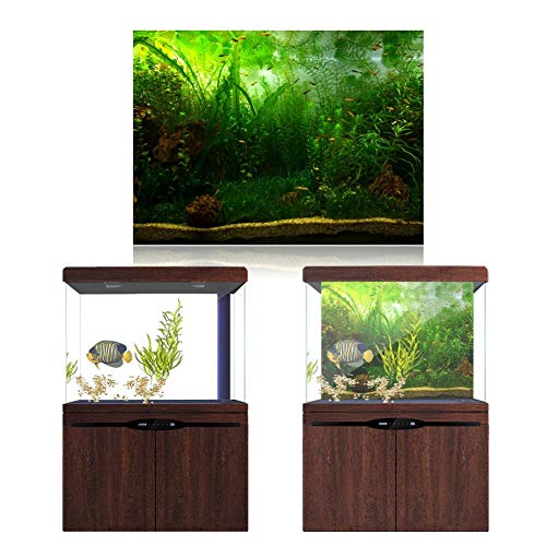 FILFEEL Aquarium-Hintergrund, Aquarium-Dekorationen, Bilder, PVC-Klebeposter, Wassergras-Stil, Hintergrund, Dekoration, Papier, Aufkleber (76 x 46 cm) von FILFEEL