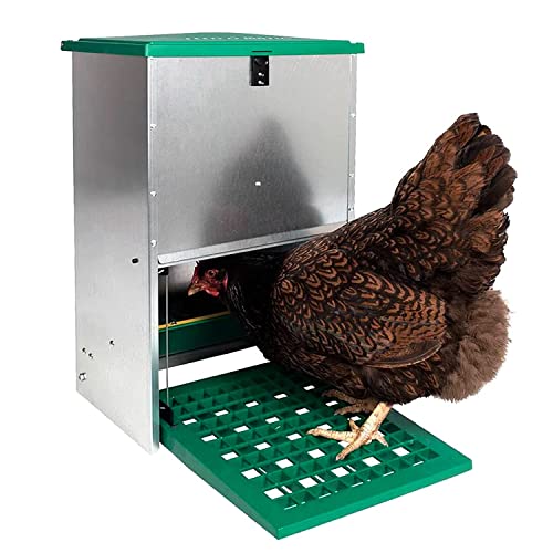 FINCA CASAREJO Automatischer Futterautomat für Hühner - Futterautomat gegen Schädlinge - Automatischer Futterspender - Kapazität 12 Kg von FINCA CASAREJO