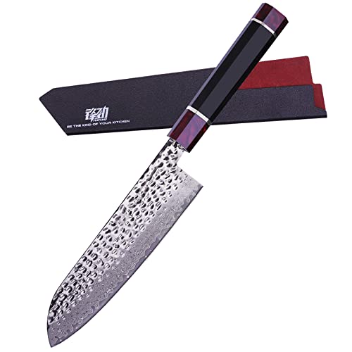 FINDKING Eternity Series Japanisches Santokumesser mit ABS Scheide, Professionelles Küchenmesser, 9Cr18MoV Damaszener Stahl Klinge, Harz achteckiger Griff, für Fleisch, Obst, Gemüse, 7 Zoll/18CM von FINDKING