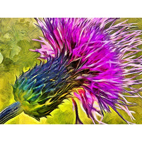 Scottish Thistle Flower Vibrant Large Canvas Wall Art Print schottisch Blume Wand von FINE ART PRINTS