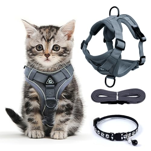 FINEASY Katzengeschirr mit Leine Ausbruchsicher und Katzenhalsband, Verstellbares Katzenleine mit Geschirr, Geschirrset Cat Harness Weich Softgeschirr für Katze Kitten Hunde Brustgeschirr (Grau, M) von FINEASY