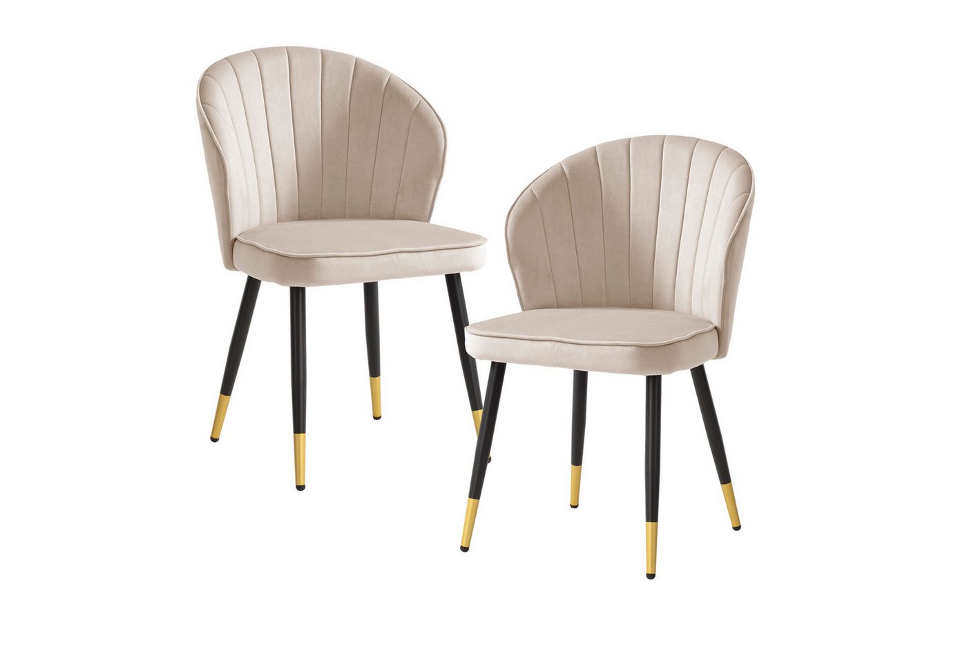 FINEBUY Esszimmerstuhl FB59817 (2er Set Samt Beige Küchenstuhl Gepolstert Modern), Polsterstuhl Esszimmer, Schalenstuhl ohne Armlehne von FINEBUY
