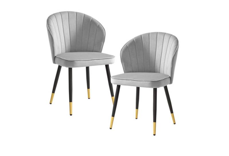 FINEBUY Esszimmerstuhl FB59818 (2er Set Samt Grau Küchenstuhl Gepolstert Modern), Polsterstuhl Esszimmer, Schalenstuhl ohne Armlehne von FINEBUY