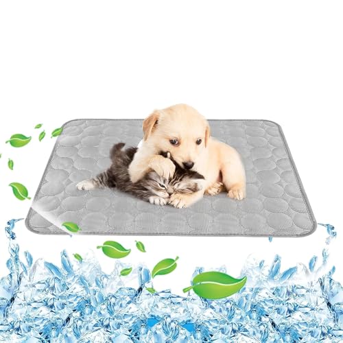 FINELYCR Kühlende Hundedecke, 100 × 70 cm Kühlende Decke Hund, Grau Kühldecke Hund Ohne Gel, Weich und Atmungsaktiv, Langlebig für Katzen und Hunde Im Sommer von FINELYCR