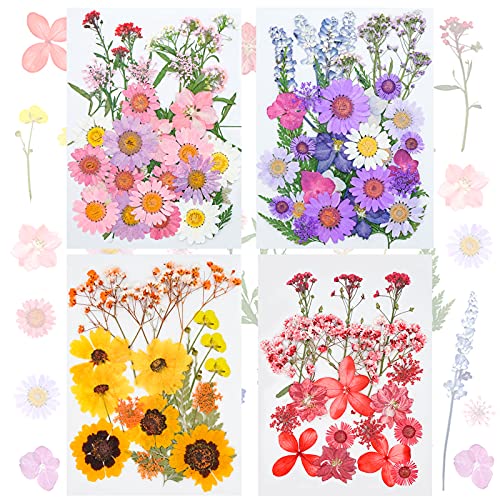 FINEVERNEK 111 Stück Natürliche Getrocknete Blumen, Gemischte Getrocknete Blumen Blätte, Natürliche Getrocknete Gepresste Blumen für Harz Kunst Basteln DIY Karten Machen, Gepresste Trockenblumen Klein von FINEVERNEK