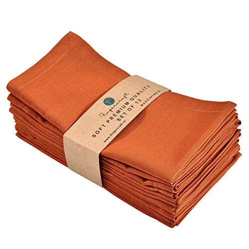 FINGERCRAFT Dinner Stoffservietten, Baumwoll-Leinen-Mischgewebe, 12er-Pack, Premium-Qualität, auf Gehrung geschnittene Ecken für den täglichen Gebrauch Servietten sind vorgeschrumpft (Rost) von FINGERCRAFT