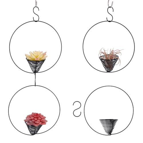 FINGERINSPIRE 4 Stück Luftpflanzenaufhänger Schwarzer Luftpflanzenhalter 150mm Moderner Luftfarn Displayhalter Aus Legierung Hängendes Tillandsia Gestell Mit S Haken Für Pflanzenwand Boho Dekoration von FINGERINSPIRE