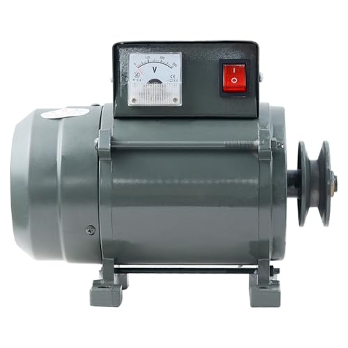 3500W 220V Permanentmagnet Bürstenloser Generator Reiner Kupferkern Lichtmaschine mit Spannungsregler, geräuscharmes Netzteil für Heimbeleuchtung, netzunabhängige oder Notfallsicherung (5000 W) von FIRETIDE