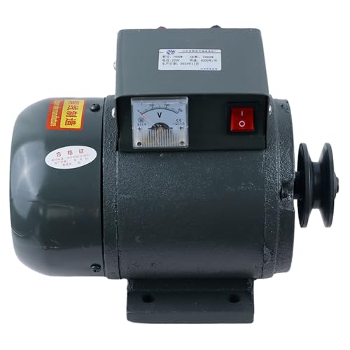 3500W 220V Permanentmagnet Bürstenloser Generator Reiner Kupferkern Lichtmaschine mit Spannungsregler, geräuscharmes Netzteil für Heimbeleuchtung, netzunabhängige oder Notfallsicherung (7500 W) von FIRETIDE