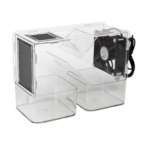 Vogelsamenreiniger Getreidereinigung Winnower Maschine Vogelfutter Geblasene Schale Splitter mit 2 unabhängigen Getreidespeichern Einstellbare Geschwindigkeit Ventilator Transparentes Acryl Design Vogelsamenreiniger Getreidereinigung Winnower Maschine Vogelfutter Geblasene Schale Splitter mit 2 unabhängigen Getreidespeichern Einstellbare Geschwindigkeit Ventilator Transparentes Acryl Design von FIRETIDE
