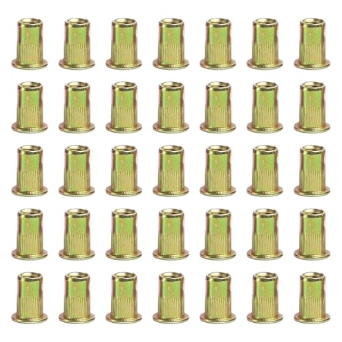 100 Pcs Kohlenstoffstahl Niete Flache Köpfe Gewinde Nieten Einsätze Nutsertkappen 100 Pcs Kohlenstoffstahl Niete Flache Köpfe Gewinde Nieten Einsätze Nutsertkappen von FIRSTXIU