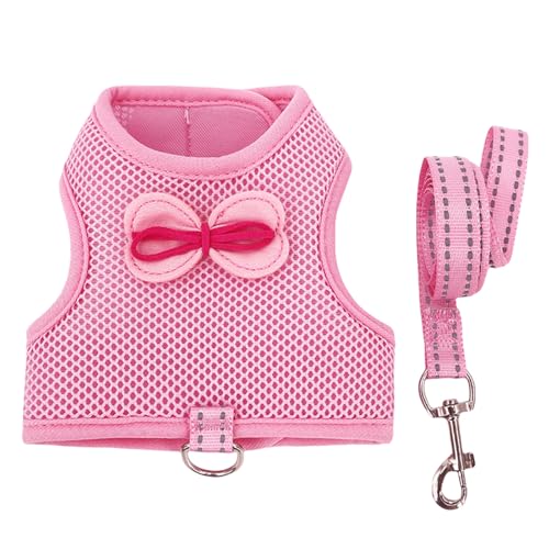 FIRSTXIU Einstellbare Gurt Leine Set Für Kaninchen Und Kleines Haustier Bequem Und Sicherheit Tierkabelbaum Leine Freien Atmungsaktives Seil FIRSTXIU Einstellbare Gurt Leine Set Für Kaninchen Und Kleines Haustier Bequem Und Sicherheit Tierkabelbaum Leine Freien Atmungsaktives Seil von FIRSTXIU