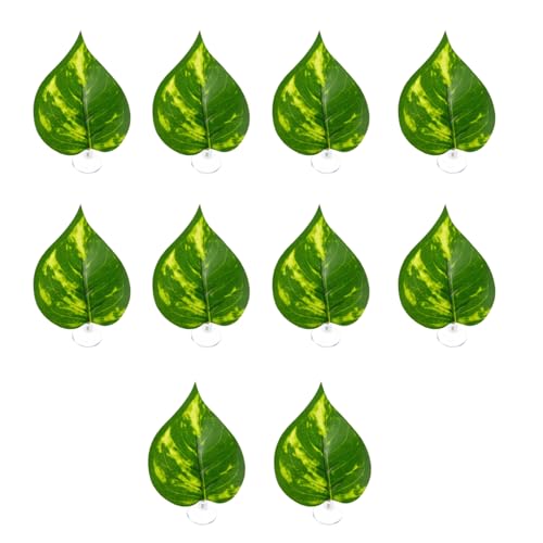 FIRSTXIU Aquarium Decors Pflanze Ornamente Bunte Wasserpflanze Mit Saugnapfbecher Landschaftsbau Künstlicher Blätter Aussehen Aquariumdekorationen Groß FIRSTXIU Aquarium Decors Pflanze Ornamente Bunte Wasserpflanze Mit Saugnapfbecher Landschaftsbau Künstlicher Blätter Aussehen Aquariumdekorationen Groß von FIRSTXIU