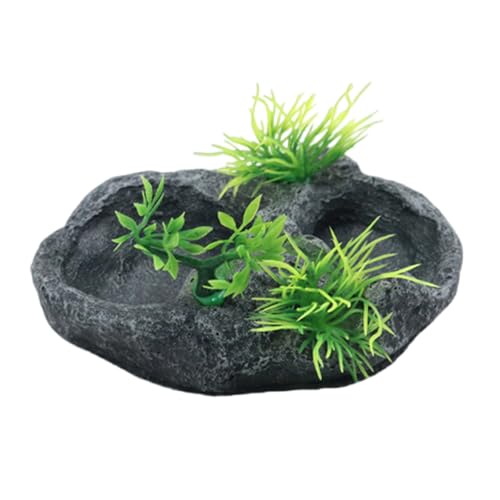 FIRSTXIU Harze Reptilien Wassergerichte Antiskid Aufstieg Haustier Wasserschale Trinken Lebensmittelfuttermittel Für Schildkröten Und Eidechsen Trinken Amphibien Fütterung Geschirr von FIRSTXIU