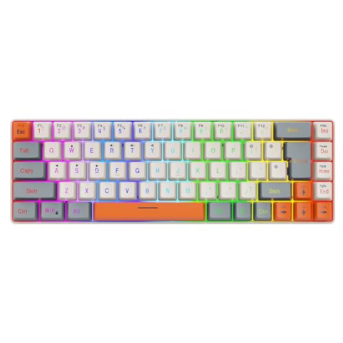 FIRSTXIU Kabelgebundene Tastatur Für Mehrere Systeme 68 Tasten Mit ARGB Beleuchtung Ergonomische Tastatur Und Lebensdauer Der Schalter von FIRSTXIU