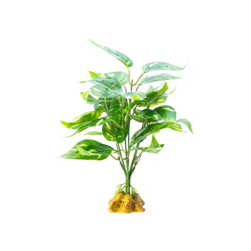 FIRSTXIU Reptilien Terrarien Pflanzen Reptilien Tanks Ornamente Besteigen Rastplantblätter Für Amphibien Eidechsen Und Schlangenbärtedrachendekorationen von FIRSTXIU