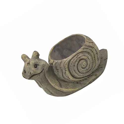 FIRSTXIU Tiere Sukkulente Pflanzer Harz Blumentöpfe Schildkröten/Schnecke/Igel Pflanzenhalter Für Innenhäuser Dekoration Innenpflanzenhalter von FIRSTXIU