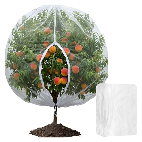 Große Früchte Baumnetzabdeckung Mit Reißverschluss Und Kordelgrad Barriere Netze Für Gartenschutzpflanze Die Atmungsaktive Pflanzengitterabdeckung Für Vögel Mischt Große Früchte Baumnetzabdeckung Mit Reißverschluss Und Kordelgrad Barriere Netze Für Gartenschutzpflanze Die Atmungsaktive Pflanzengitterabdeckung Für Vögel Mischt von FIRSTXIU