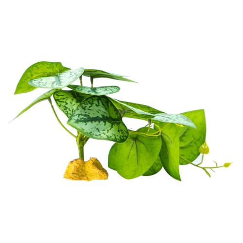 Realistische Grasdekoration Für Reptilienterrarien Natürliche Höhlenlebensraum Dekoration Kletterpflanze Hängematte Versteck Höhle Künstliche Pflanzendekoration Realistische Grasdekoration Für Reptilienterrarien Natürliche Höhlenlebensraum Dekoration Kletterpflanze Hängematte Versteck Höhle Künstliche Pflanzendekoration von FIRSTXIU