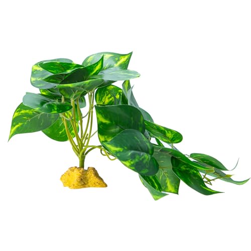 Realistische Grasdekoration Für Reptilienterrarien Natürliche Höhlenlebensraum Dekoration Kletterpflanze Hängematte Versteck Höhle Künstliche Pflanzendekoration Realistische Grasdekoration Für Reptilienterrarien Natürliche Höhlenlebensraum Dekoration Kletterpflanze Hängematte Versteck Höhle Künstliche Pflanzendekoration von FIRSTXIU