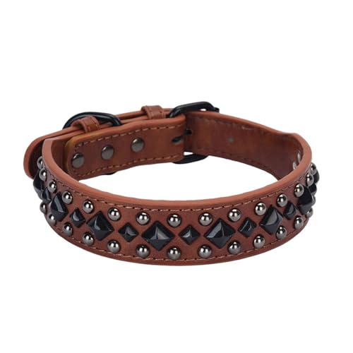 FIRSTXIU Resistente Metallnieten Kragen Halsblatt Leder Minimalisten Hundehalsband Für Alltägliche Spaziergänge Und Veranstaltung Persönlichkeit Haustier Mode FIRSTXIU Resistente Metallnieten Kragen Halsblatt Leder Minimalisten Hundehalsband Für Alltägliche Spaziergänge Und Veranstaltung Persönlichkeit Haustier Mode von FIRSTXIU