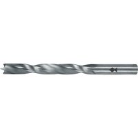 Fisch - Holzspibo. hss r Profi 16x100/160mm S10mm von FISCH