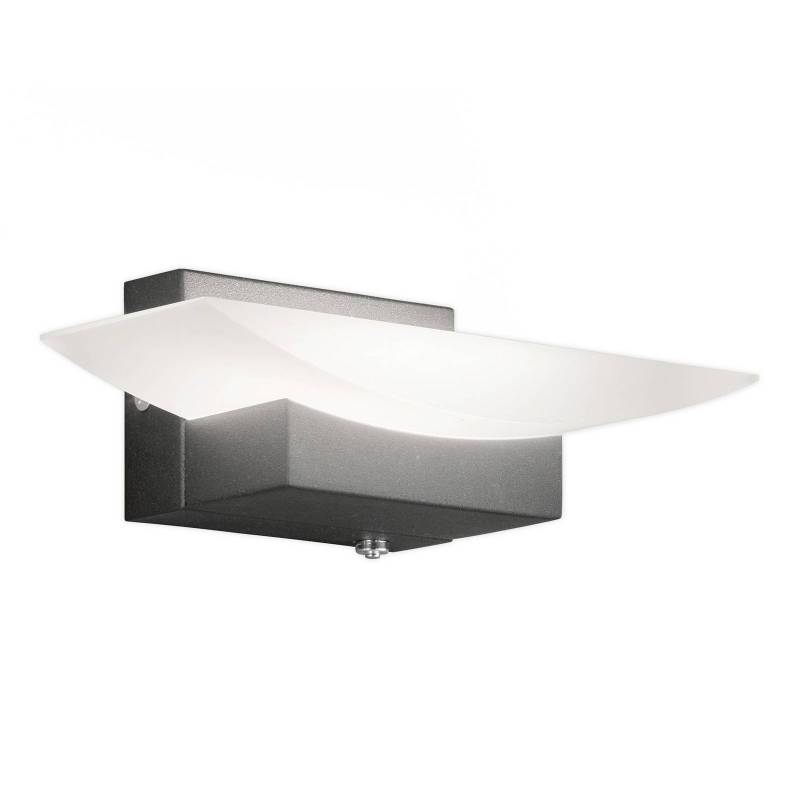 LED-Wandleuchte Bowl TW CCT Breite 20 cm, schwarz von FISCHER & HONSEL