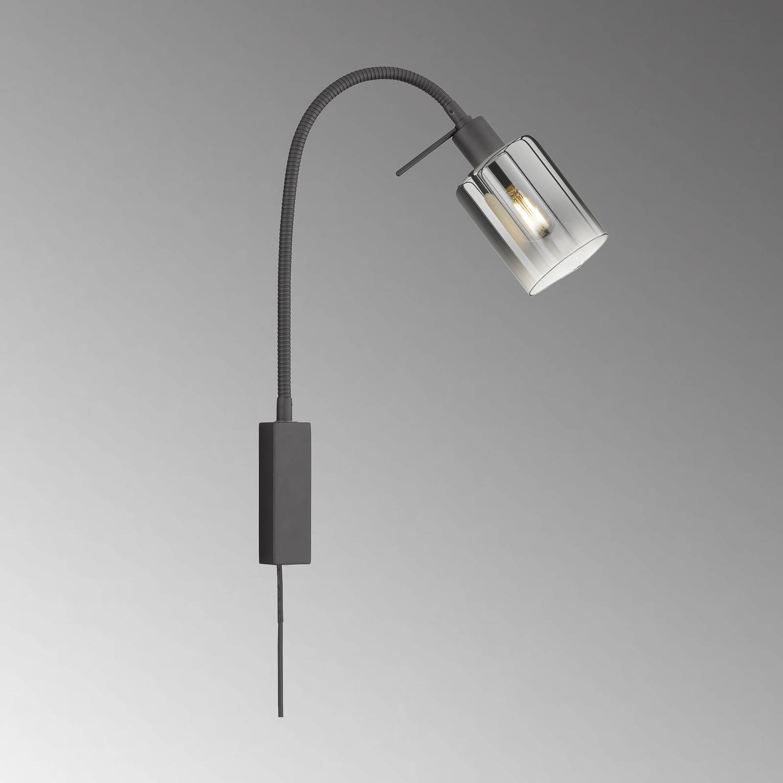 Wandleuchte Iska mit flexiblem Arm Wandleuchte Iska mit flexiblem Arm von FISCHER & HONSEL