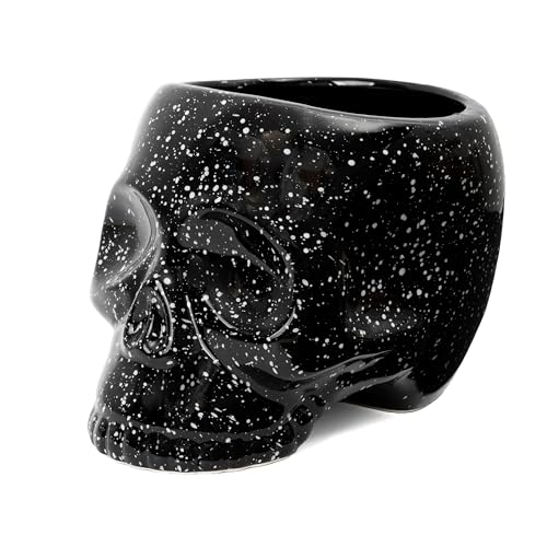 Fisura - Origineller Pflanzentopf in Schädel-Form. Schwarz-weißer dekorativer Schädel-Pflanztopf für den Innenbereich. Schwarzer Pflanztopf für Kakteen. Durchmesser 12 cm. Maße: 15x19x14 cm. von FISURA
