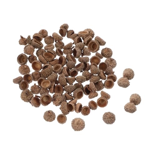 FIXOSHEE 100 Stück Teiliges Set Natürliche Eichelhülsen Umweltfreundliche Bastelornamente Robuste Herbst und Weihnachtsdeko für Party Hochzeit Tischarrangements zum Aufhängen und FIXOSHEE 100 Stück Teiliges Set Natürliche Eichelhülsen Umweltfreundliche Bastelornamente Robuste Herbst und Weihnachtsdeko für Party Hochzeit Tischarrangements zum Aufhängen und von FIXOSHEE