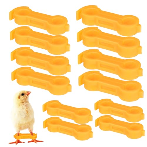 FIXOSHEE 12 Stück Teiliges Küken Beinband in Stabile Hühnchen Spreizbein korrektur Langlebiger Babyvogel Hobble Brace zur Effektiven Beinstabilisierung und Haltungskorrektur FIXOSHEE 12 Stück Teiliges Küken Beinband in Stabile Hühnchen Spreizbein korrektur Langlebiger Babyvogel Hobble Brace zur Effektiven Beinstabilisierung und Haltungskorrektur von FIXOSHEE
