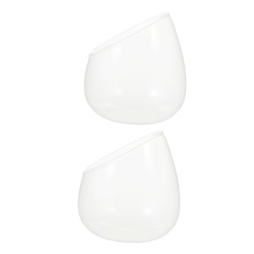 FIXOSHEE 2 Stück Klare Glasvase mit Bubble Design Schräger Mund Succulent Pflanzgefäß Offenes für Zuhause Dekorative Pflanzschale für Fensterbank und Deko von FIXOSHEE